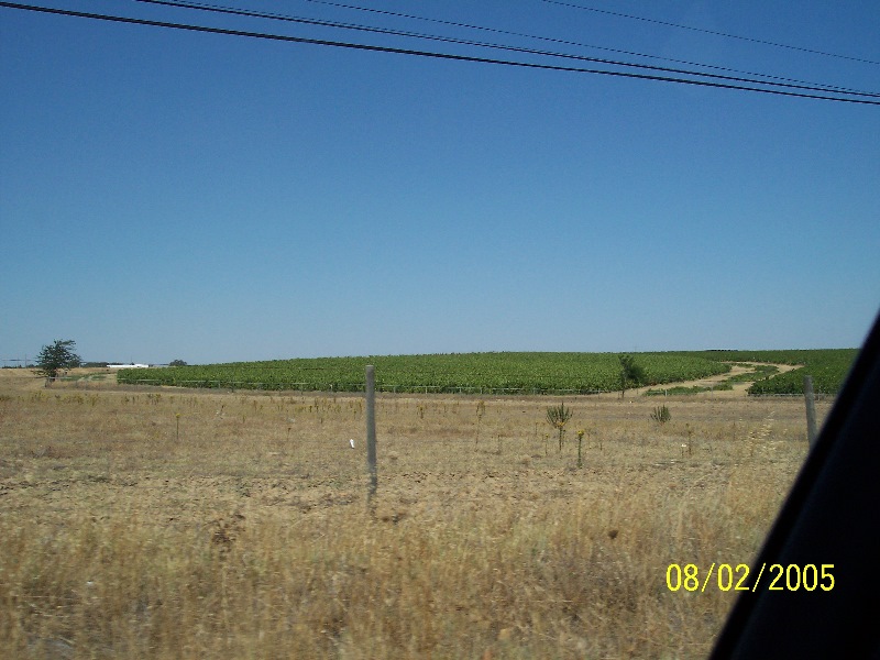 s-100_2782.jpg