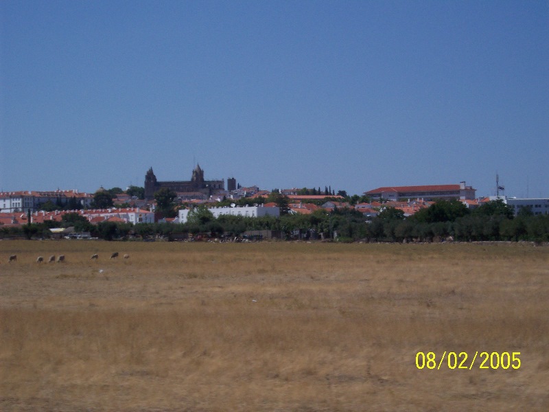 s-100_2784.jpg