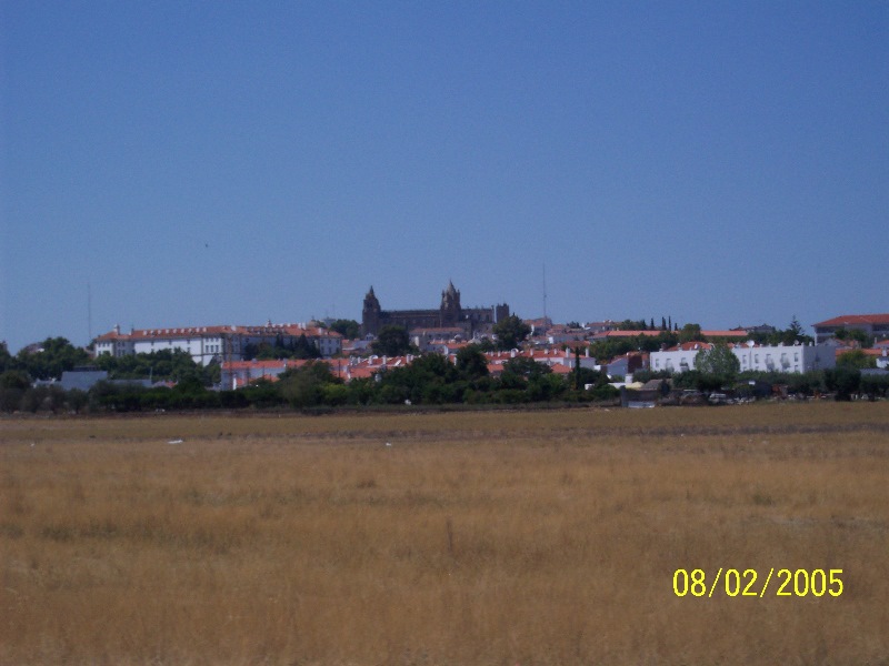 s-100_2785.jpg