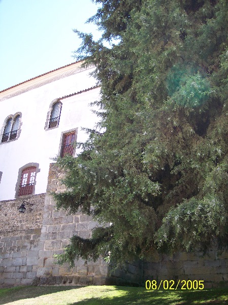 s-100_2804.jpg