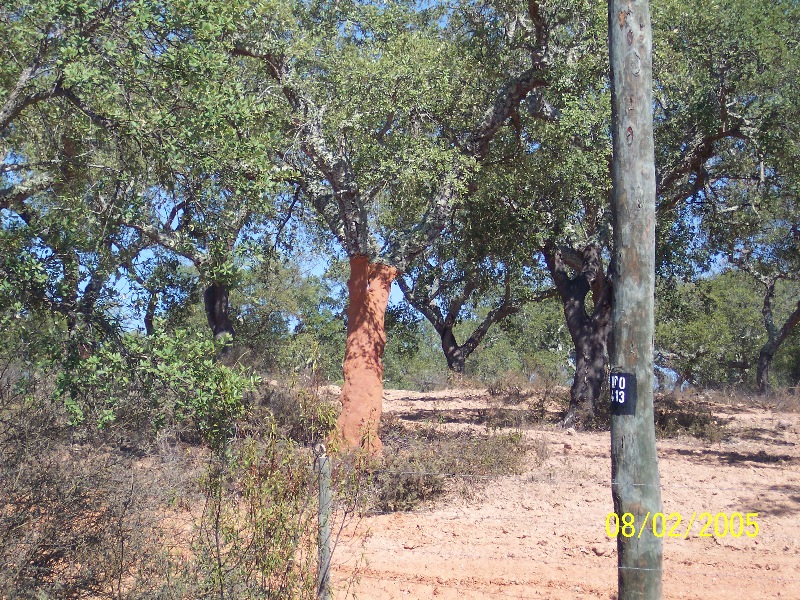 s-100_2821.jpg
