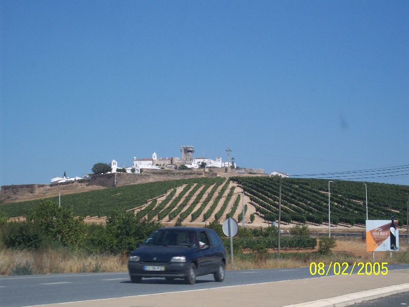 s-100_2828.jpg
