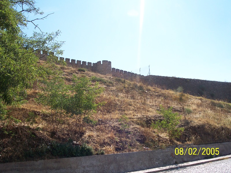s-100_2834.jpg