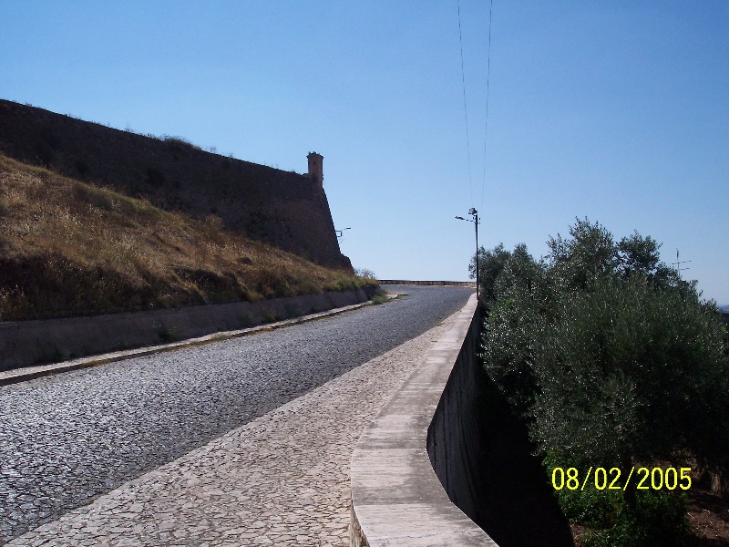 s-100_2835.jpg