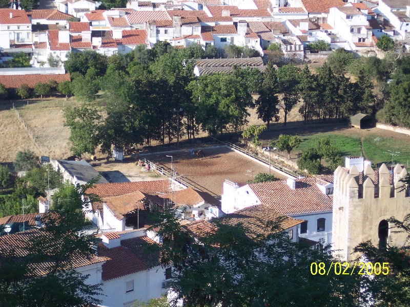 s-100_2855.jpg