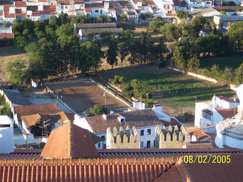 s-100_2933.jpg