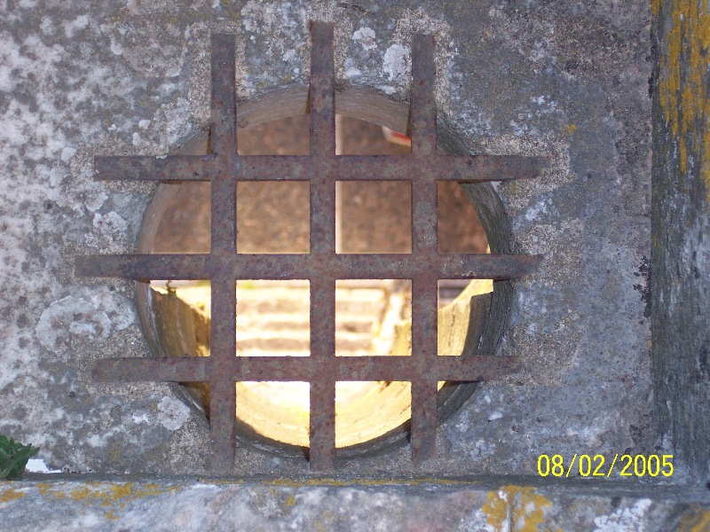 s-100_2939.jpg