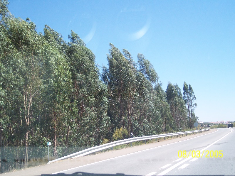 s-100_3007.jpg