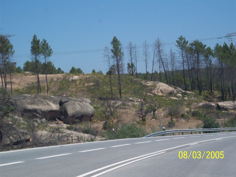 s-100_3016.jpg