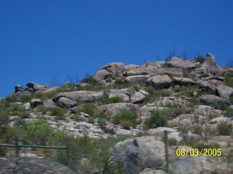 s-100_3018.jpg