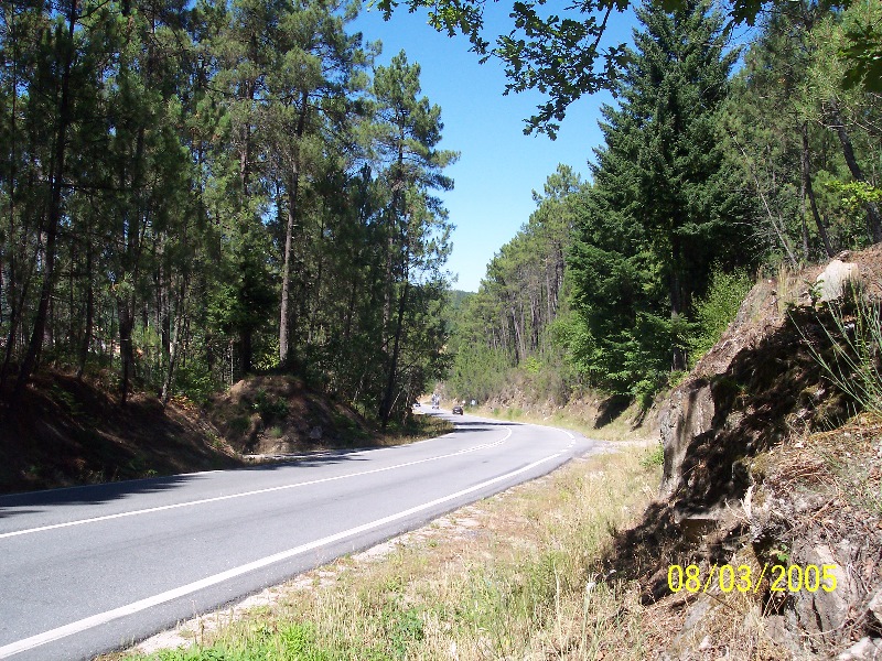 s-100_3035.jpg