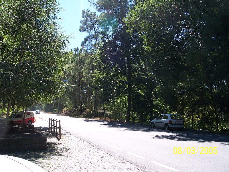 s-100_3036.jpg