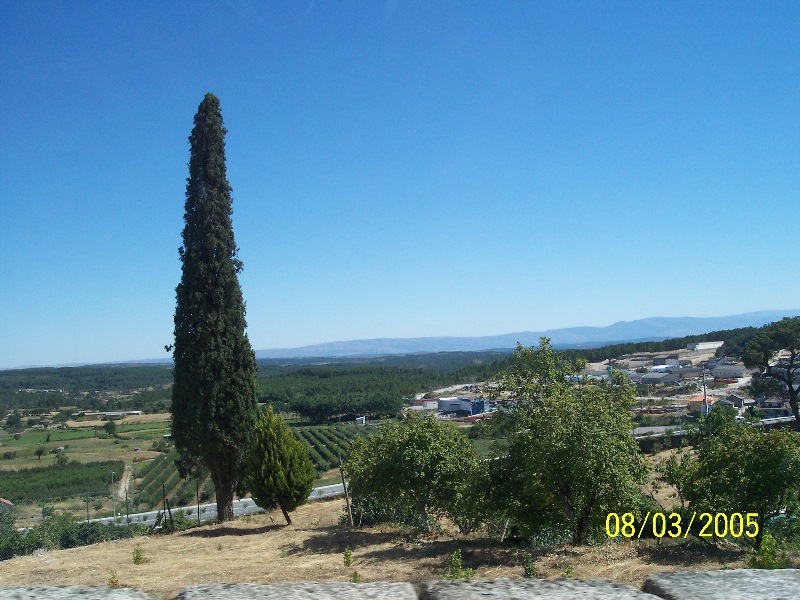 s-100_3039.jpg