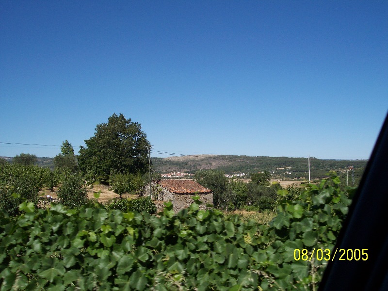 s-100_3042.jpg
