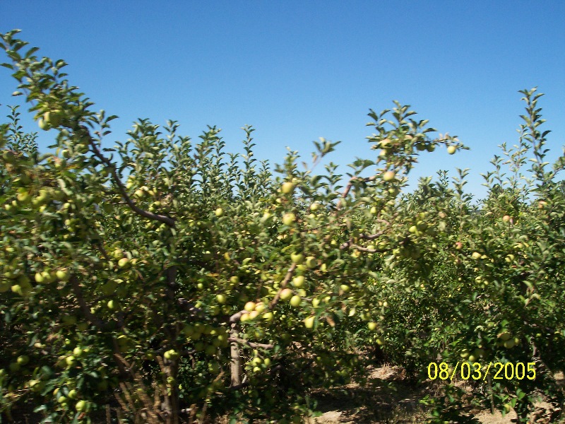 s-100_3050.jpg