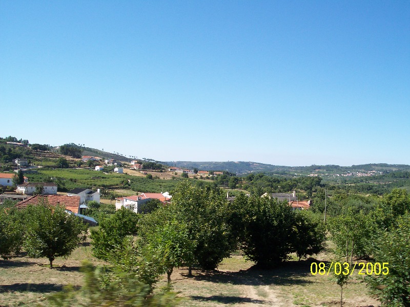 s-100_3058.jpg