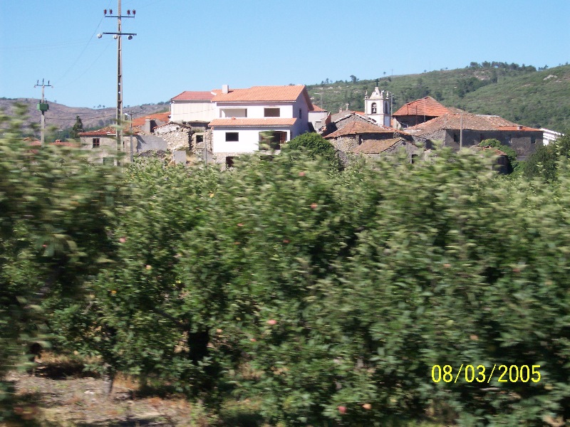 s-100_3060.jpg
