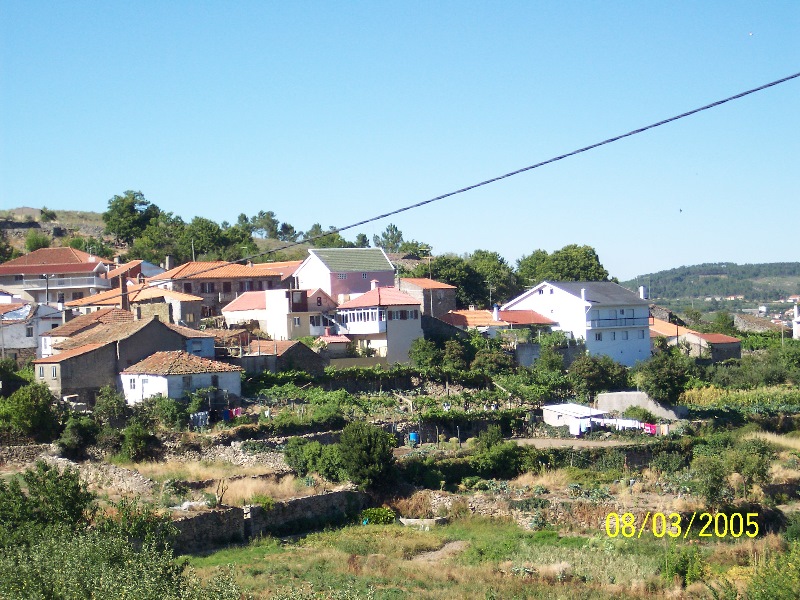 s-100_3062.jpg