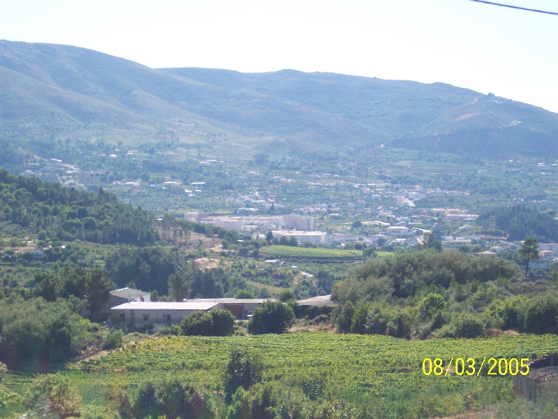 s-100_3065.jpg