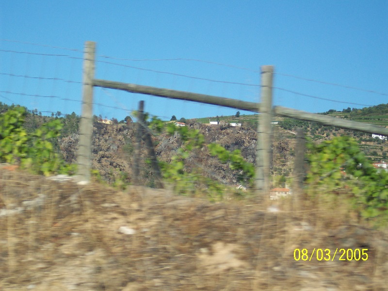 s-100_3075.jpg