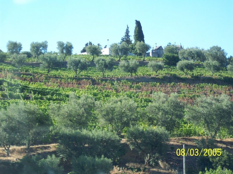 s-100_3076.jpg