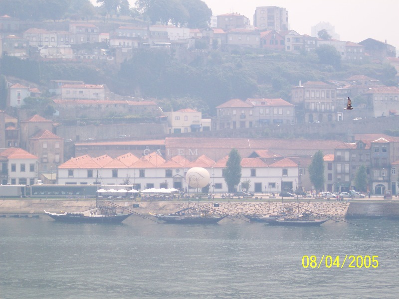 s-100_3089.jpg