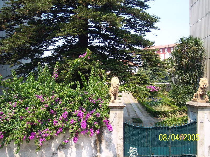 s-100_3139.jpg