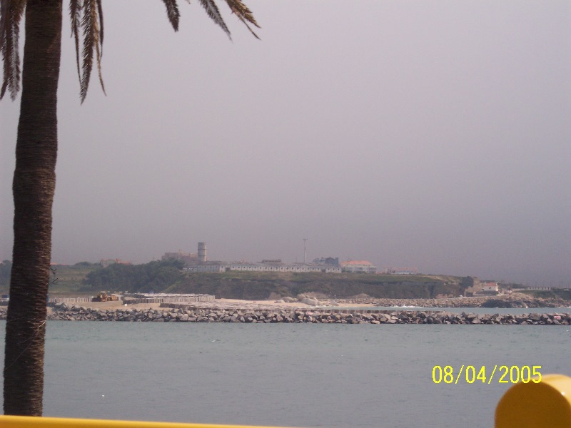 s-100_3165.jpg