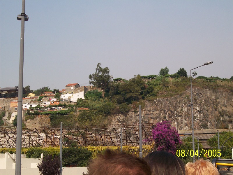 s-100_3175.jpg