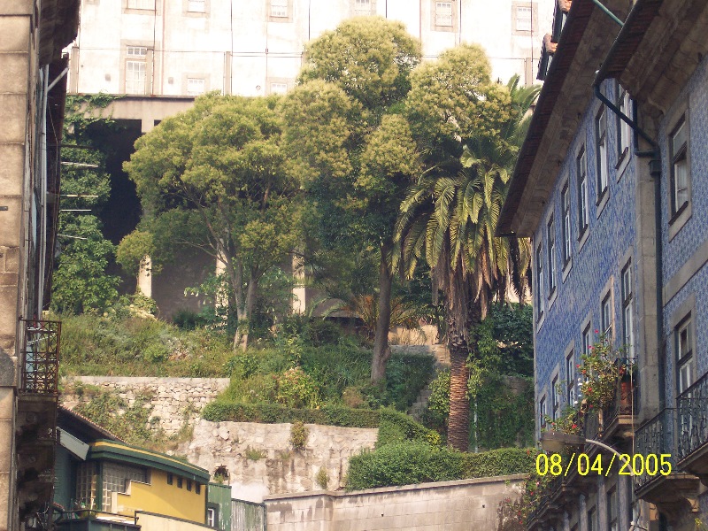 s-100_3199.jpg