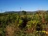 s100_3049.jpg