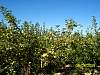 s100_3050.jpg