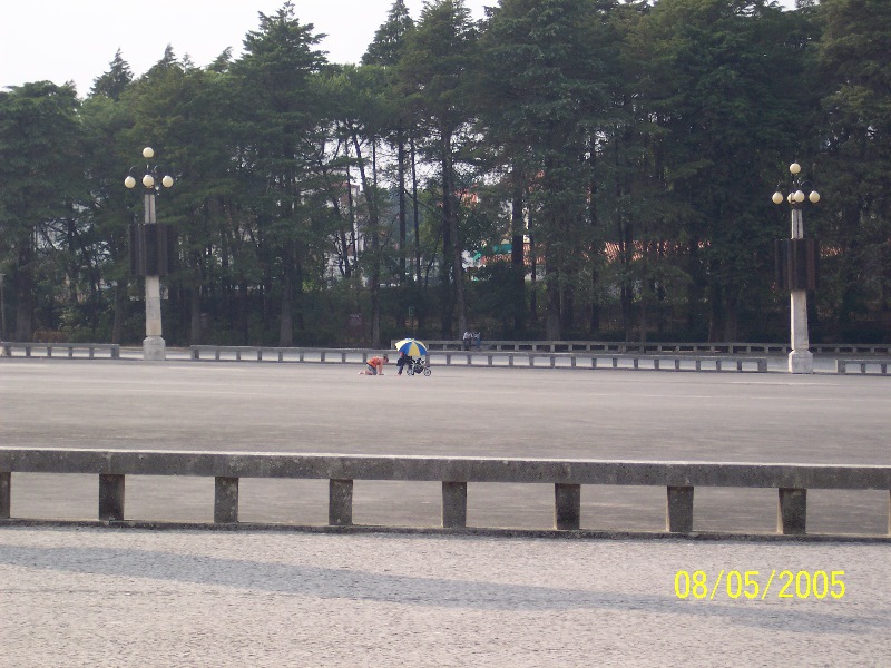 s-100_3281.jpg