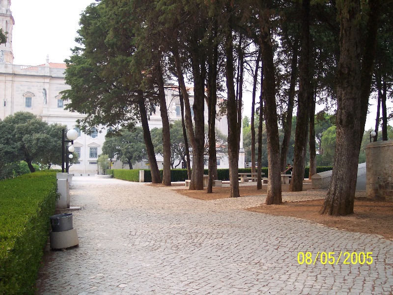 s-100_3290.jpg