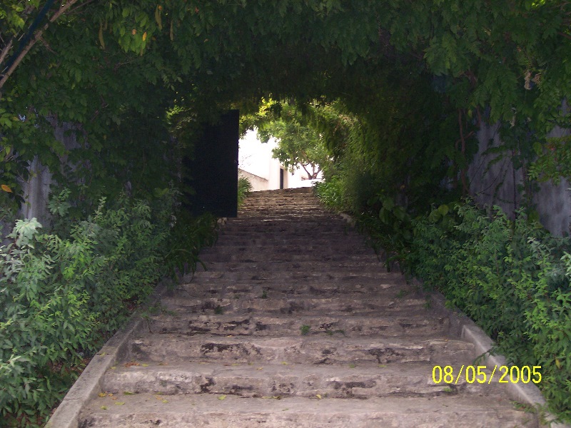 s-100_3293.jpg