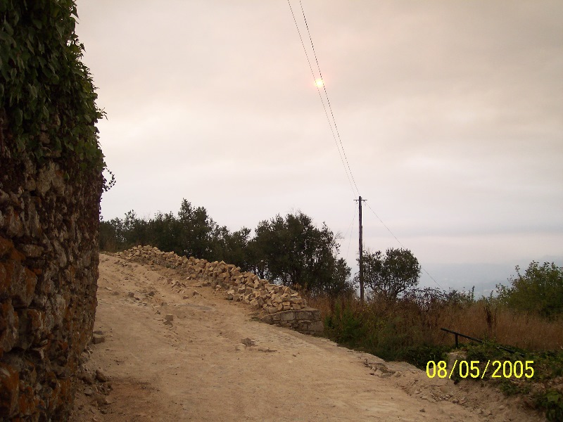 s-100_3297.jpg