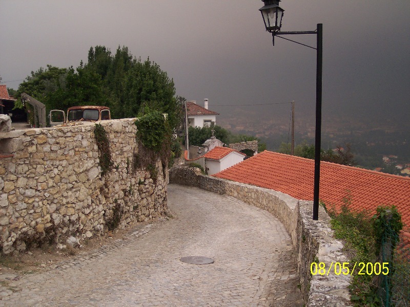 s-100_3331.jpg