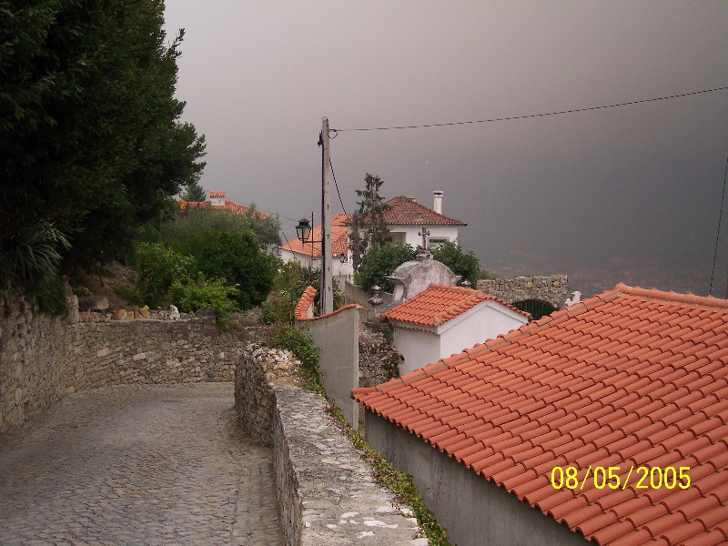 s-100_3334.jpg