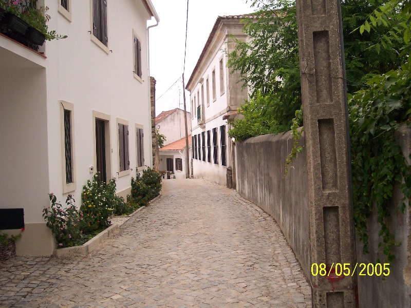 s-100_3339.jpg