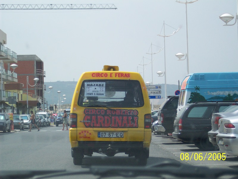 s-100_3352.jpg