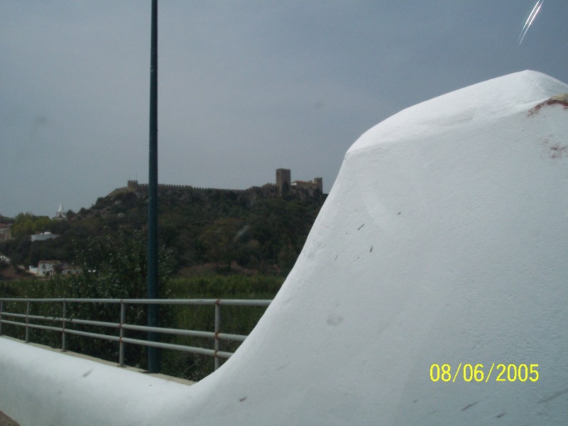 s-100_3356.jpg