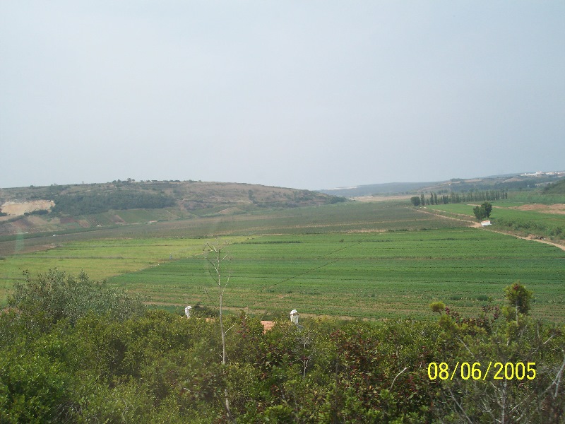 s-100_3359.jpg
