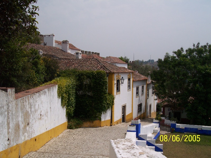 s-100_3365.jpg