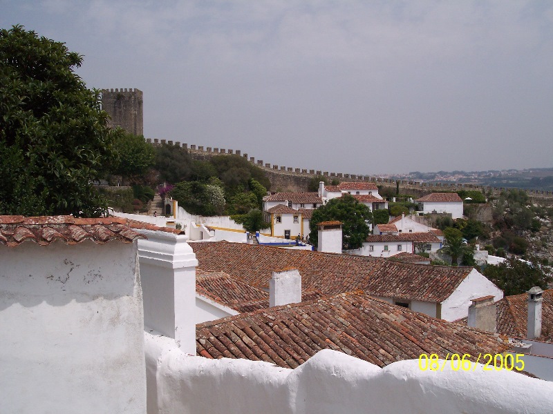 s-100_3372.jpg