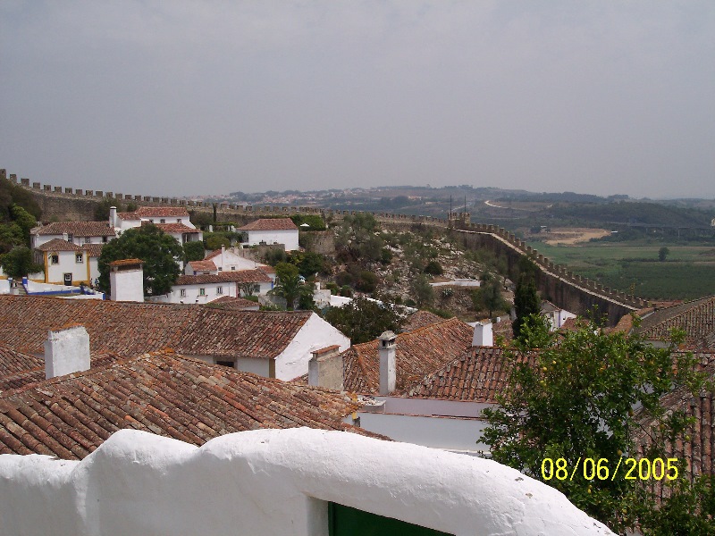 s-100_3373.jpg