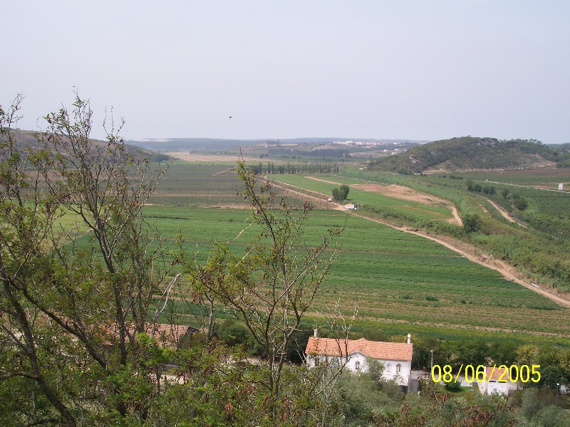 s-100_3384.jpg