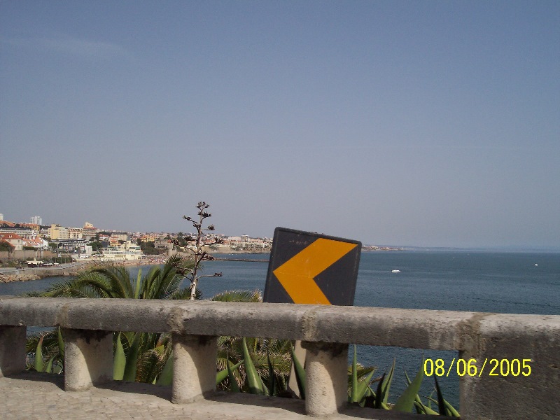 s-100_3386.jpg