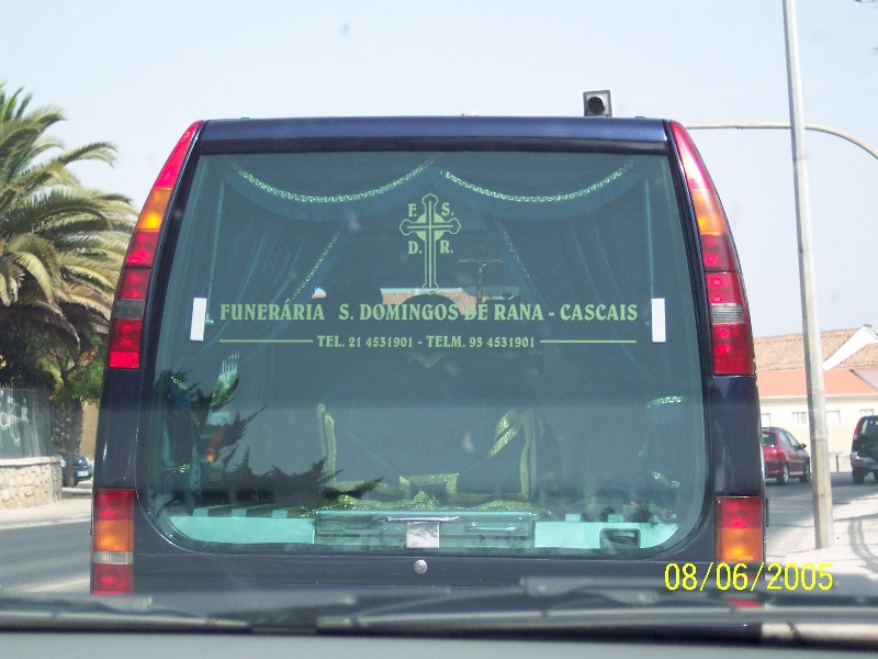 s-100_3388.jpg