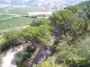 s100_3382.jpg