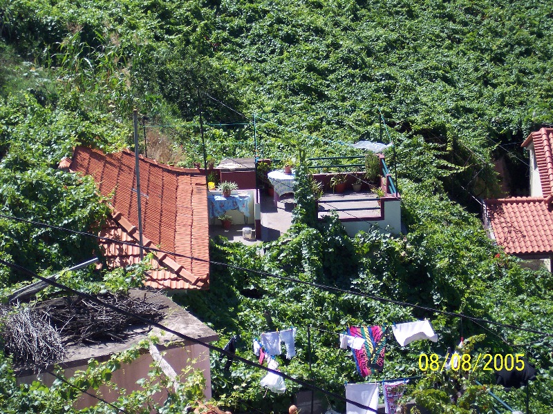 s-100_3464.jpg